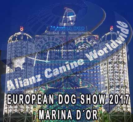 Resultados I GCC Countries Emiratos y European Dog Show Marina d´Or 2017