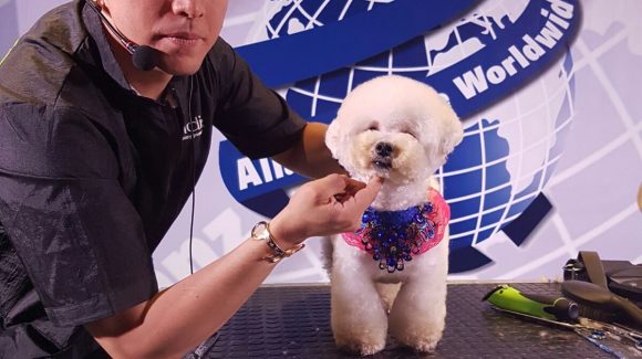 Gran éxito y magníficos profesionales en el VIII congreso internacional Alianz de peluquería y estética canina 2017 Gran éxito y magníficos profesionales en el VIII congreso internacional Alianz de peluquería y estética canina 2017