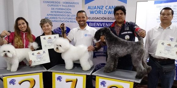 Competencia de Peluquería Canina “Copa Alianz Ecuador” 2018 Competencia de Peluquería Canina “Copa Alianz Ecuador” 2018