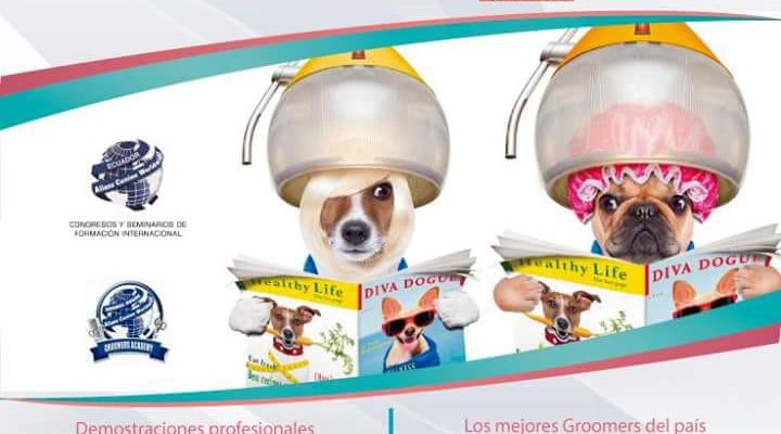 Los mejores Peluqueros Caninos Profesionales “Groomers” de Alianz Ecuador en ExpoMascotas 2018, la Feria del Bienestar Animal de Quito