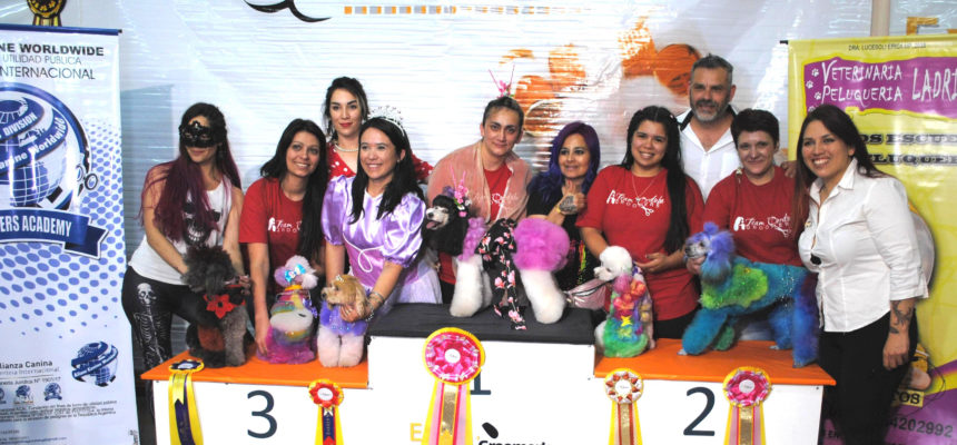 Competencia Grooming Expogroomer´s ACW Argentina 2018 Competencia Grooming Expogroomer´s ACW Argentina 2018