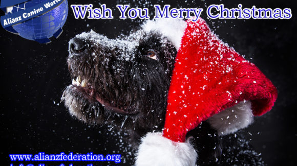 Alianz Canine Worldwide ACW Les Desea Felices Fiestas Alianz Canine Worldwide ACW Les Desea Felices Fiestas