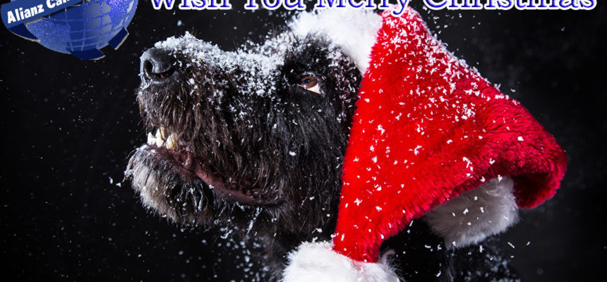 Alianz Canine Worldwide ACW Les Desea Felices Fiestas Alianz Canine Worldwide ACW Les Desea Felices Fiestas