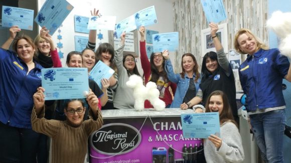 Model Dog ACW Grooming . Éxito en el Primer Seminario Model Dog Alianz ACW en España Model Dog ACW Grooming . Éxito en el Primer Seminario Model Dog Alianz ACW en España