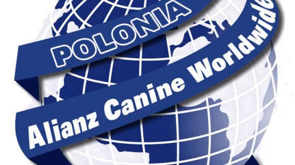 Alianz en Polonia Alianz en Polonia