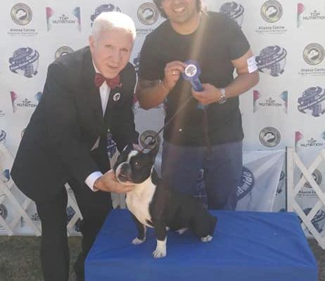 Magnífica Exposición Canina Internacional Alianz, Mendoza Argentina 2019