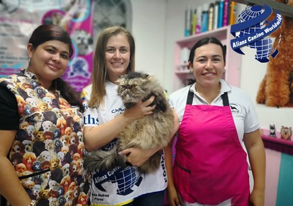 Taller ACW Colombia Formación de mantos largos en gatos en Ibagué 2019