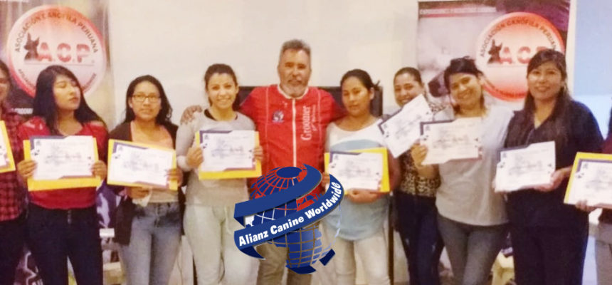 Gran éxito 1er curso-taller de Iniciación al Grooming y 1er Circuito de Exposiciones-concurso caninas «Ciudad Blanca» Alianz Perú 2020 Gran éxito 1er curso-taller de Iniciación al Grooming y 1er Circuito de Exposiciones-concurso caninas «Ciudad Blanca» Alianz Perú 2020