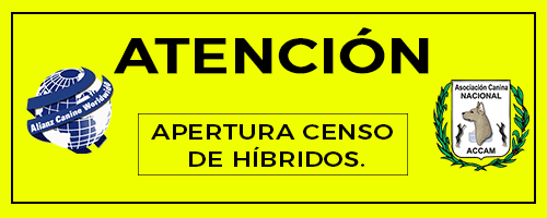 APERTURA CENSO DE HÍBRIDOS.