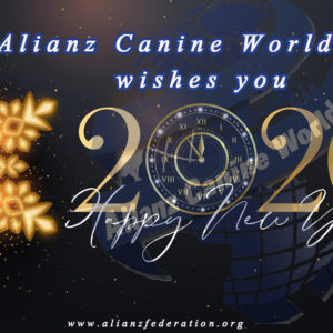 ALIANZ TURKEY AVKIF MARCH 2016 Alianz Federation